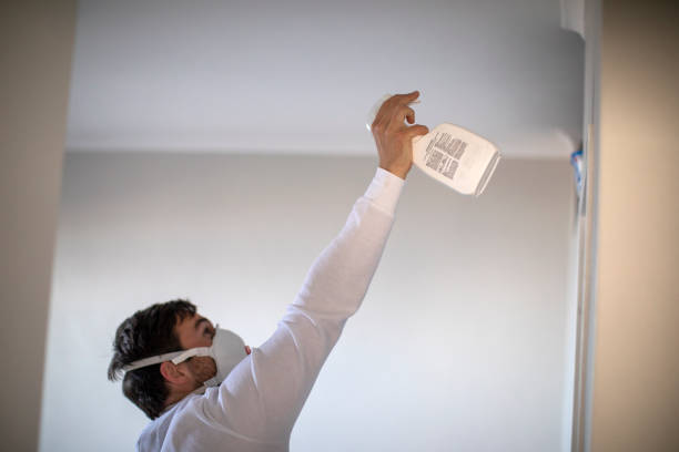 Best Crawl Space Mold Removal  in Stratford, CA