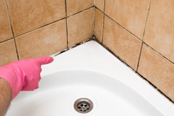 Home Mold Removal in Stratford, CA